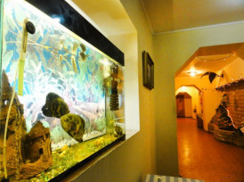 Сауна «Діаф»