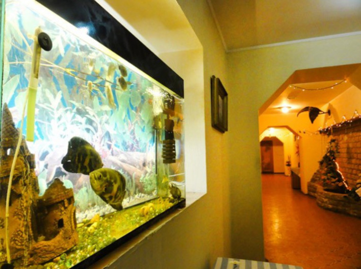 Сауна «Диаф»