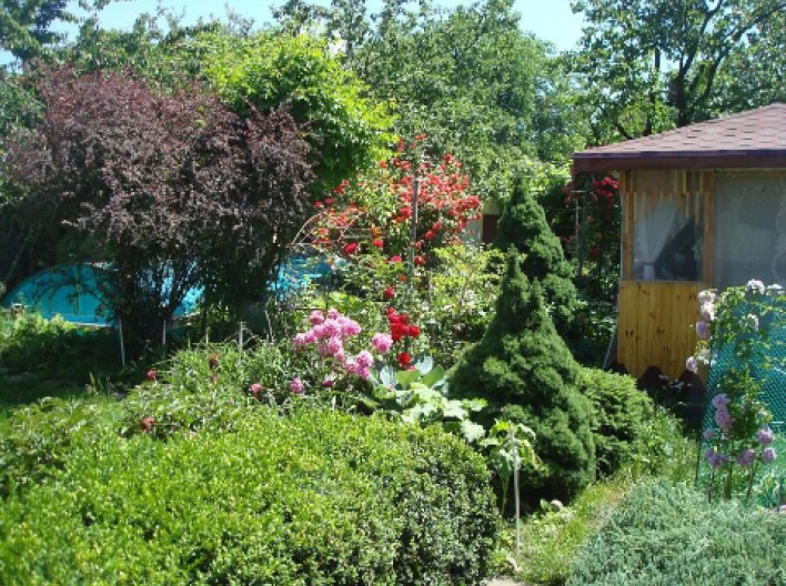 Лазня на дровах «В гостях у бабусі»