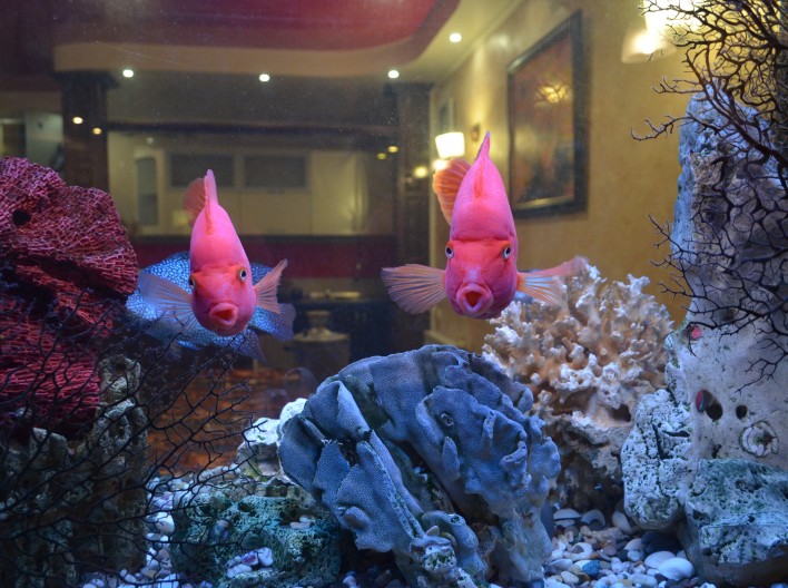 Сауна «на Печерске»