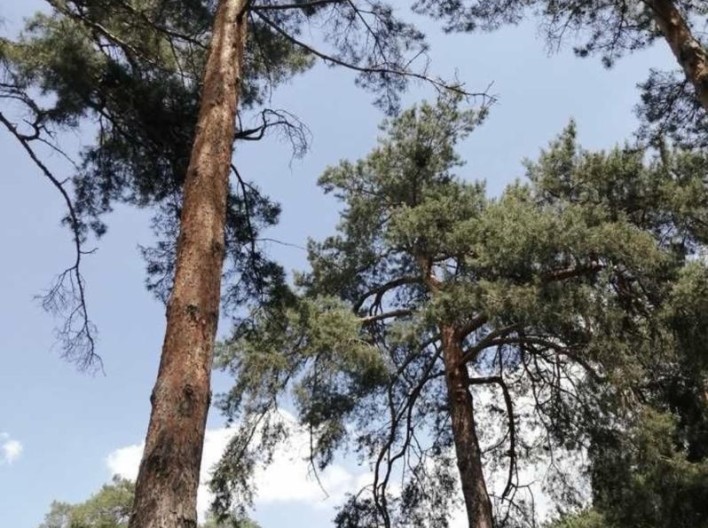 Загородный комплекс «Golden Gate»