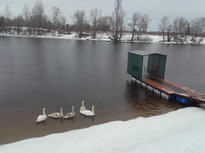 Баня «Лагуна» на базе «Изумрудная»